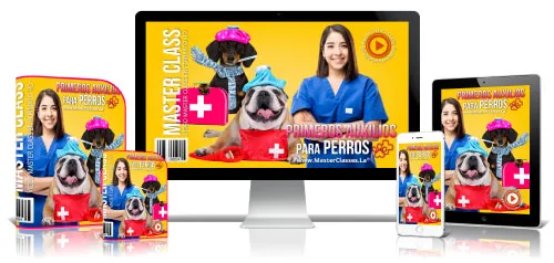 PRIMEROS AUXILIOS PARA PERROS